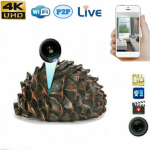 Best Pine Nut Design Camera HD 1080p WiFi IP Security Portable Video Recorder